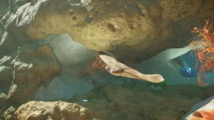 Planet Zoo 2 Introduces Yet Another Species With The Javanese Cownose Ray
